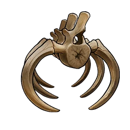 Ancient Bone