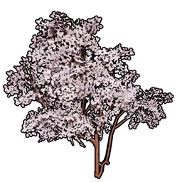 Faux Cherry Blossoms Set