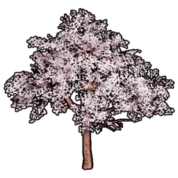 Faux Cherry Blossoms B