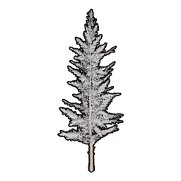Faux Snowy Greenery C